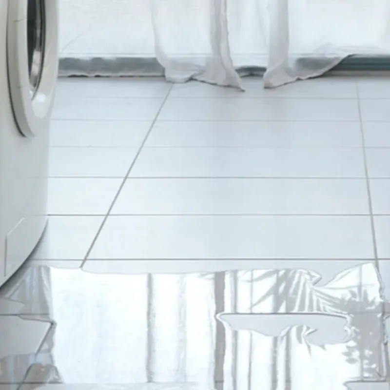 Appliance Leak Cleanup in Morehead City, NC
