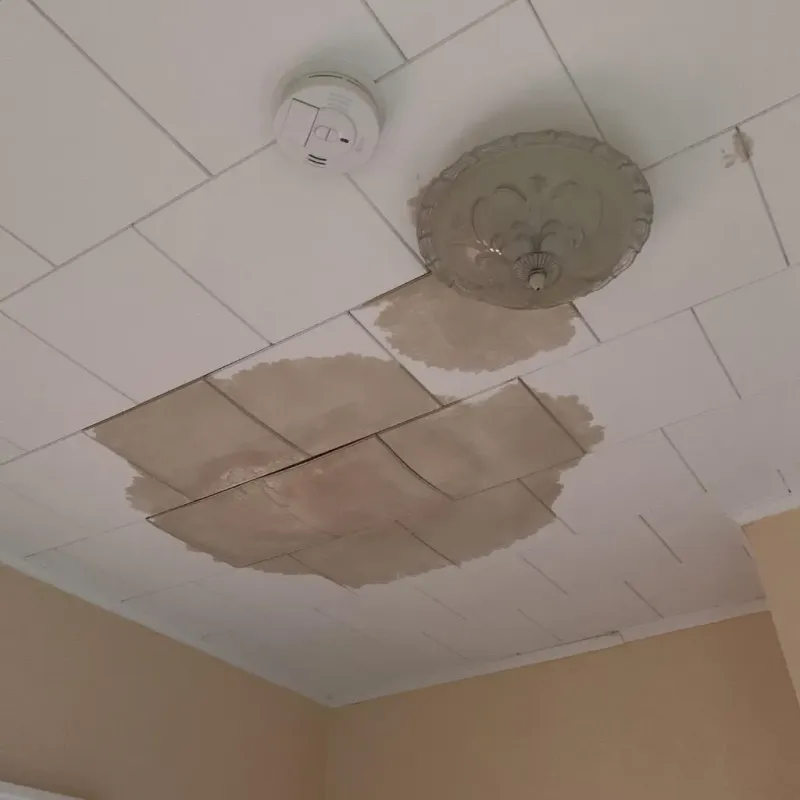 Ceiling Water Damage Repair in Morehead City, NC